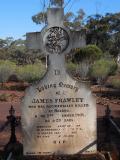 image of grave number 513130